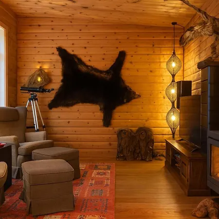 Chalet Santa's Aurora Observatory