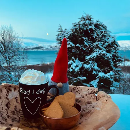 Santa's Aurora Observatory Alpesi faház *