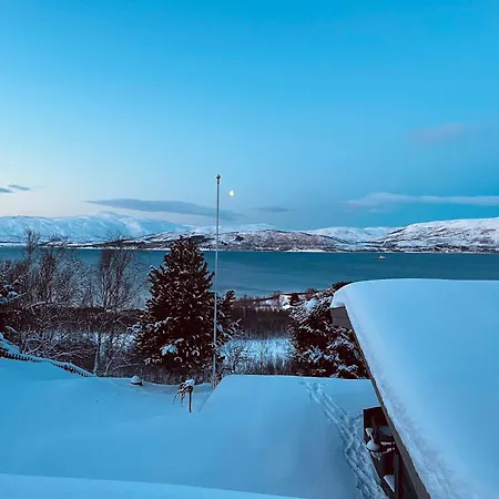 Santa's Aurora Observatory